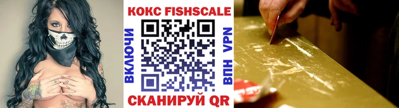 Кокаин FishScale  Купить  Инсар 
