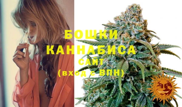 mdpv Елабуга