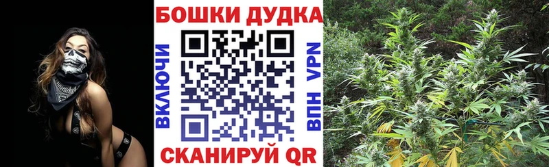 Бошки марихуана VHQ  Купить  Инсар 